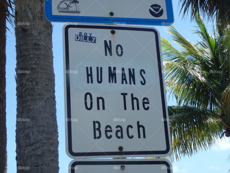 No Humans