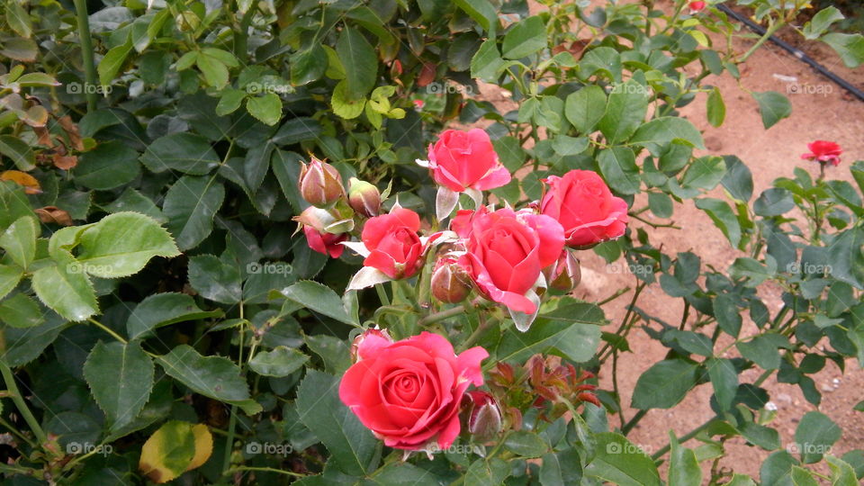 I-Innovation photography