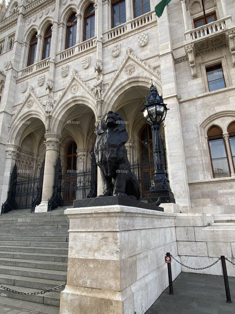 Lion , Budapest Décember 2022 . 