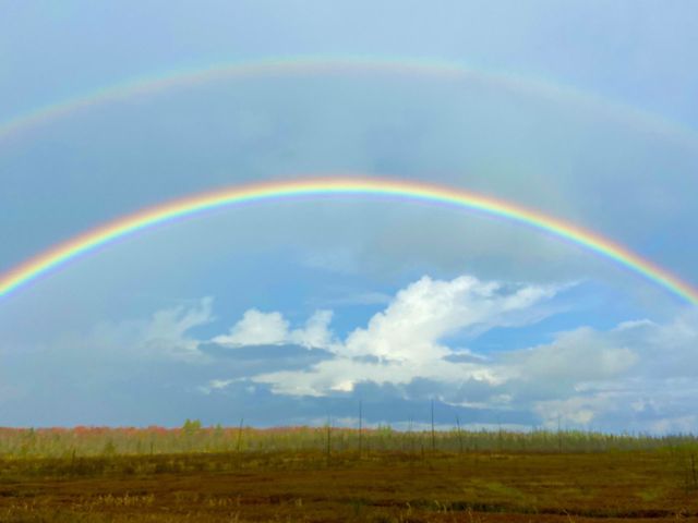 Field of Rainbows