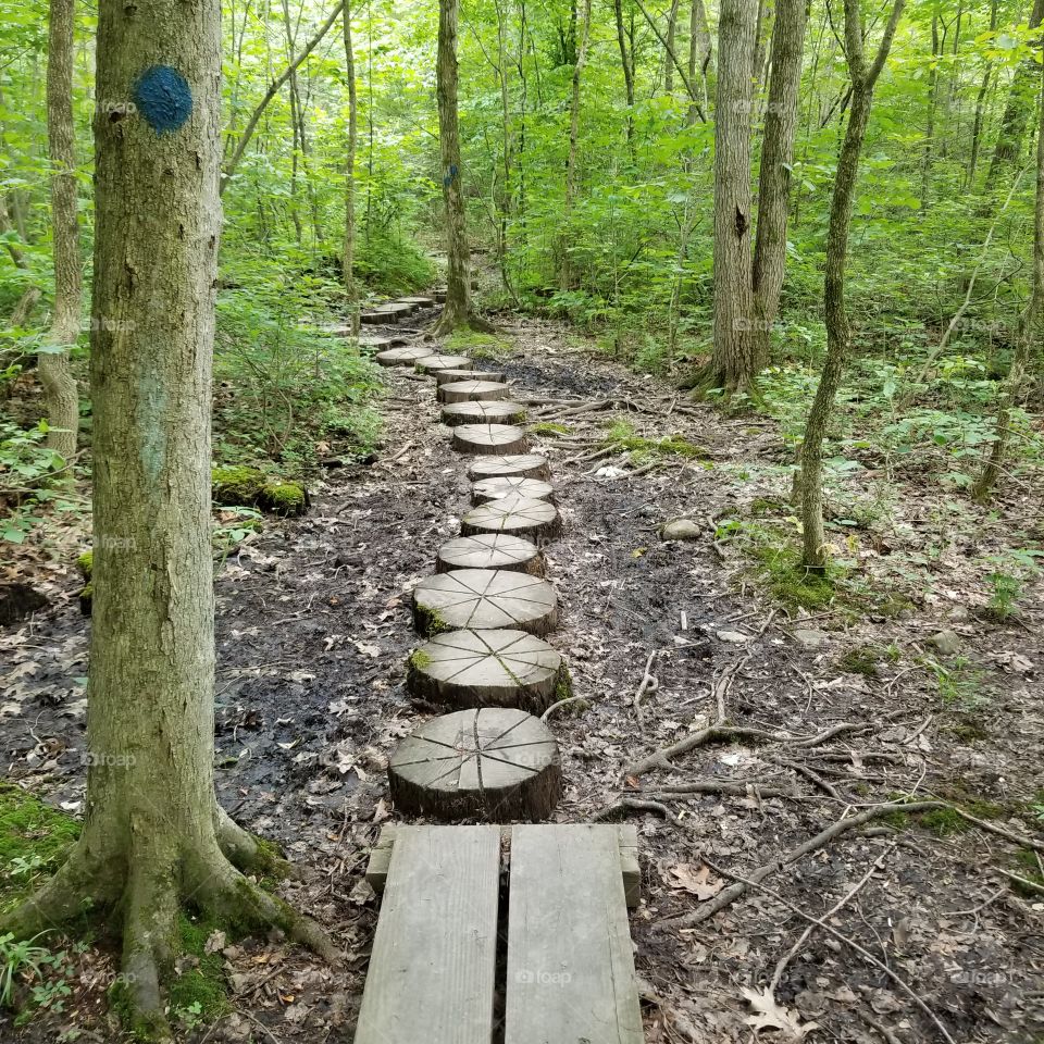 wooden trail at monacy hill reserve