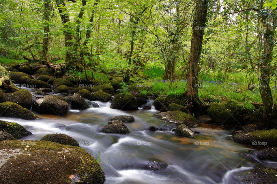 River Bovey