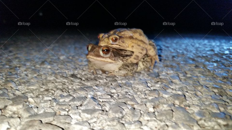 Froggy Style. Taken at 2am