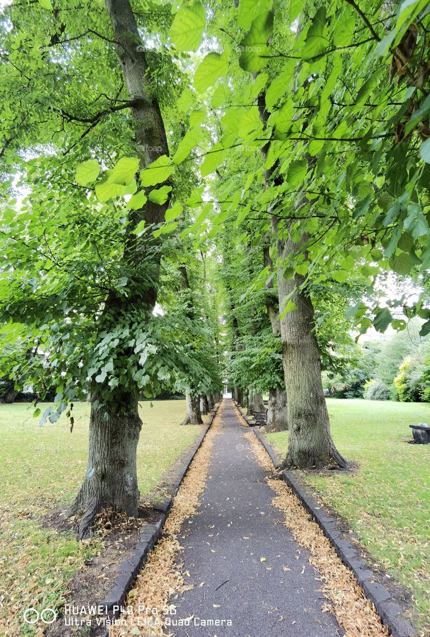 calle principal de entrada a un parque