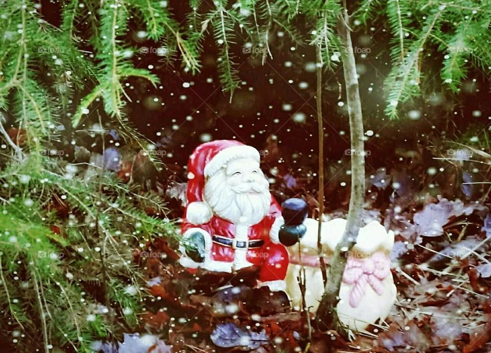 Santa in the forrest