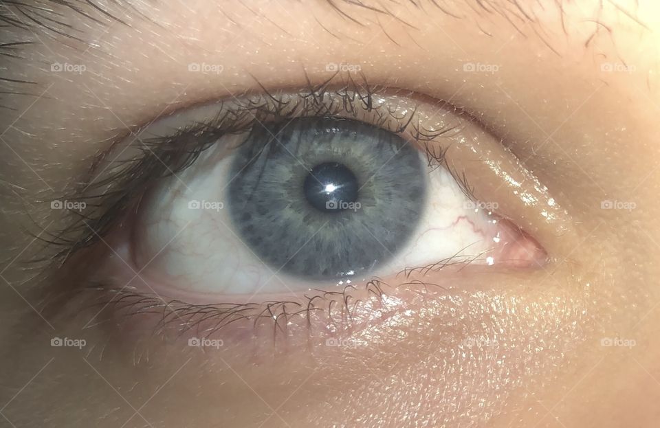 blue close up eyeball with flash small pupil messy eyebrow and no mascara no makeup eyebags tired