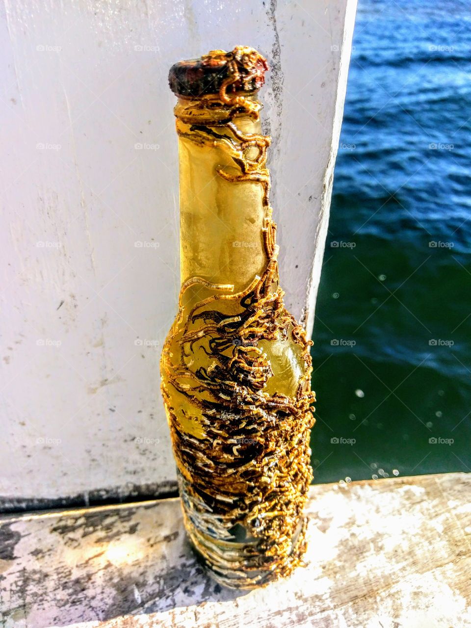 Ocean bottle!