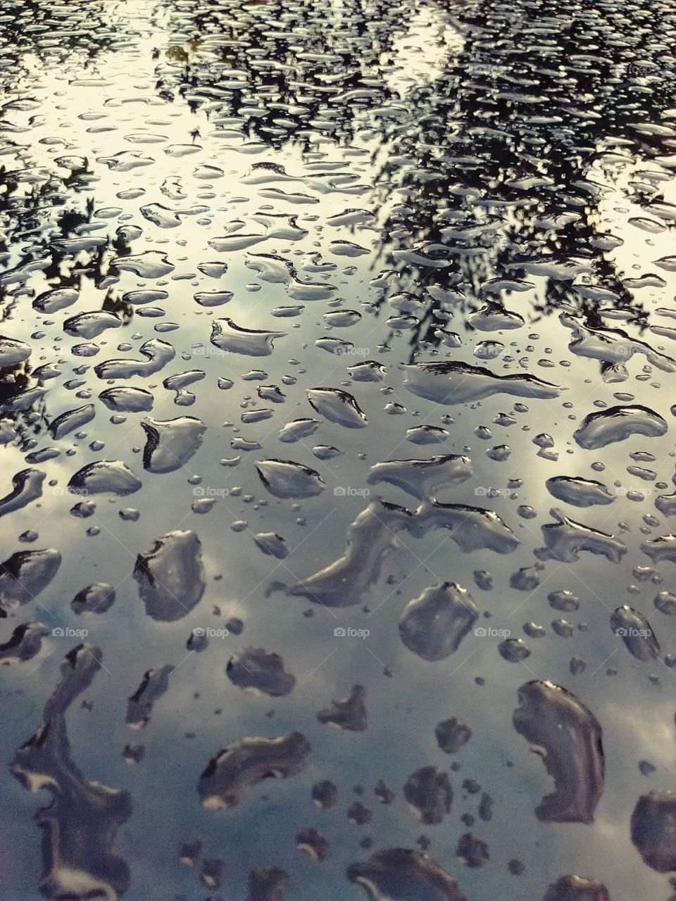 water droplets reflected