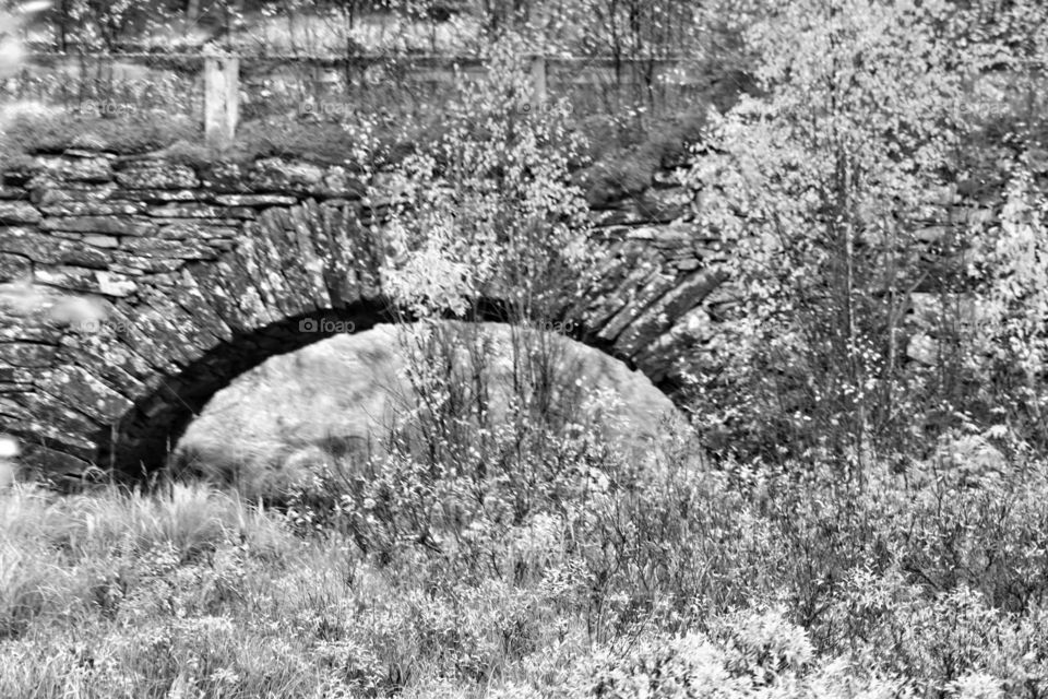 Black and White bridge