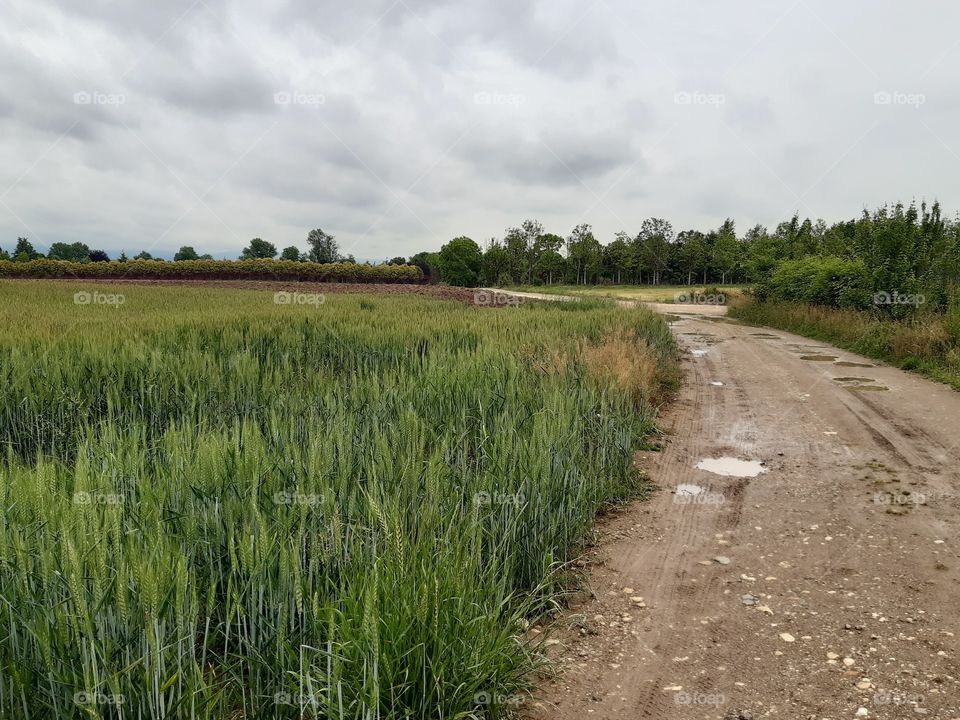 bad weather in the country