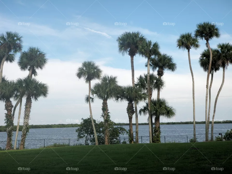 water front