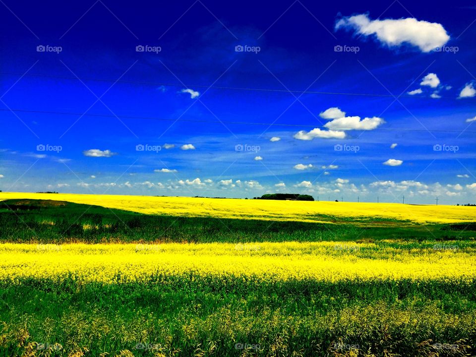 Brandon Manitoba prairie 