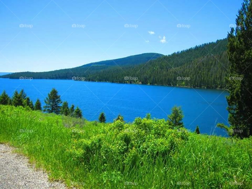 The very blue water of Hebgen Lake