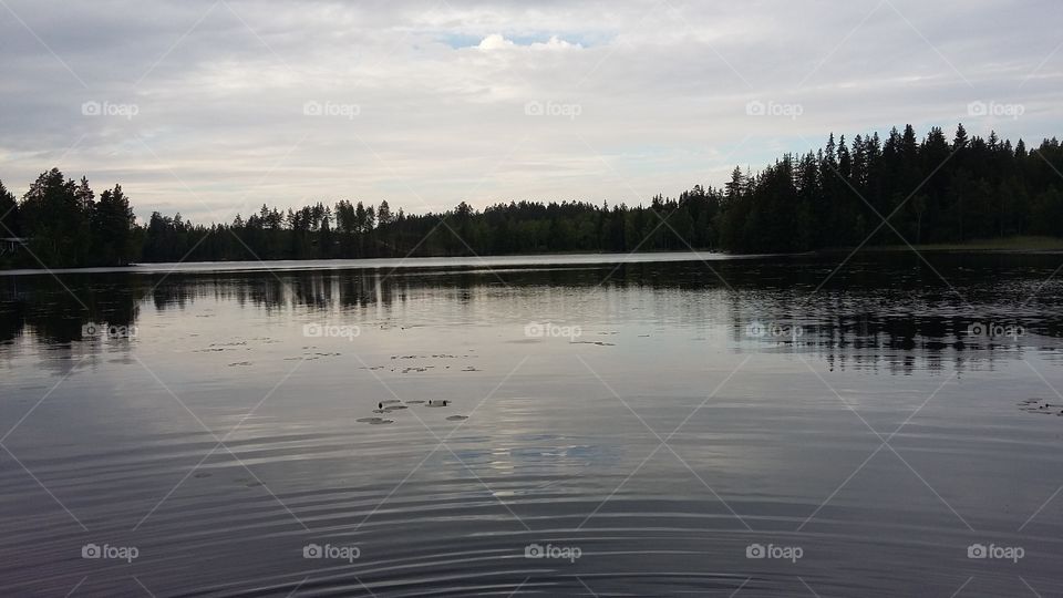 Finnish lake Saimaa 3
