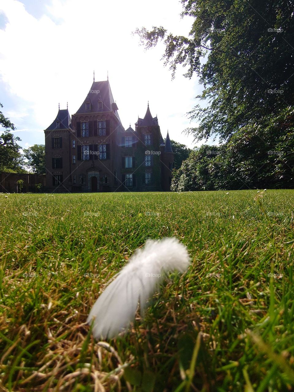 Feather in Castle garden