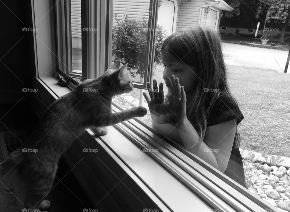 Darling black and white photo of young girl putting hands on window with her tabby cat. 