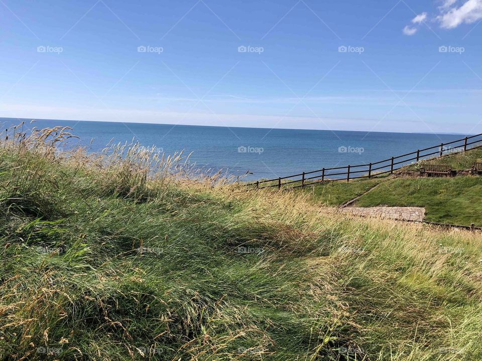 A blue sky to rival the same anywhere I. The world and the nature, gives a sense of real beauty and presence.