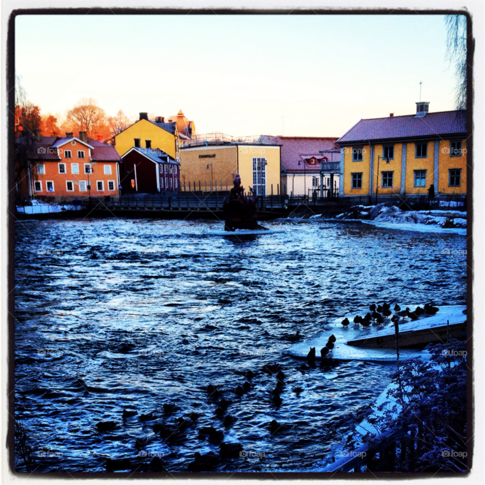 birds buildings river torshälla by lollohenrik