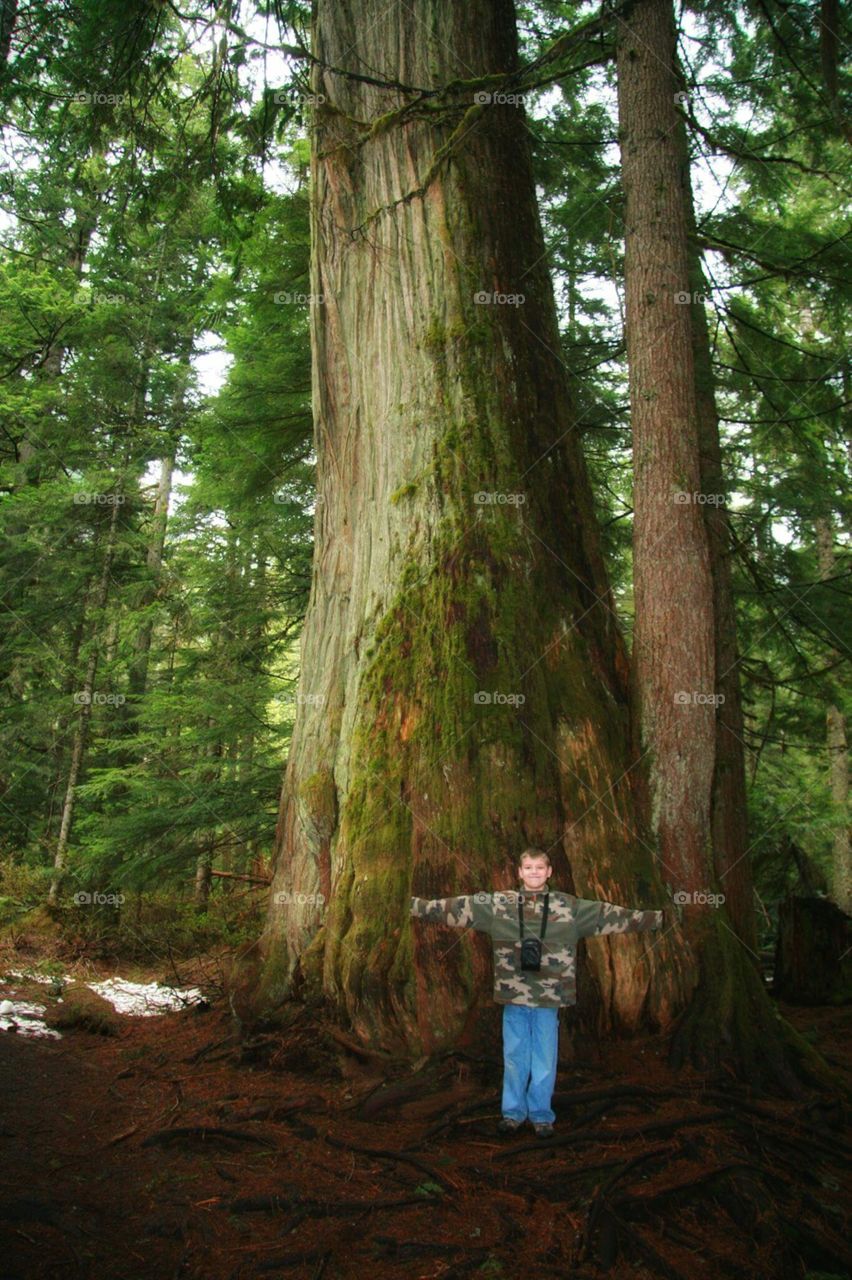 Boy standing in front of tall tree trunk