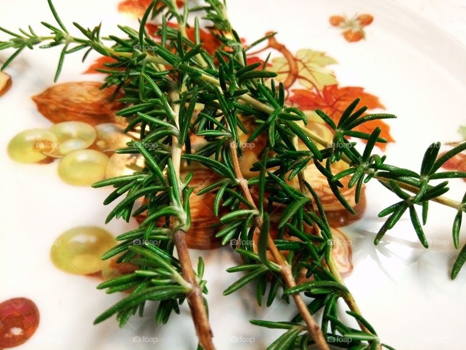 Fresh picked rosemary herb on an Autumn plate