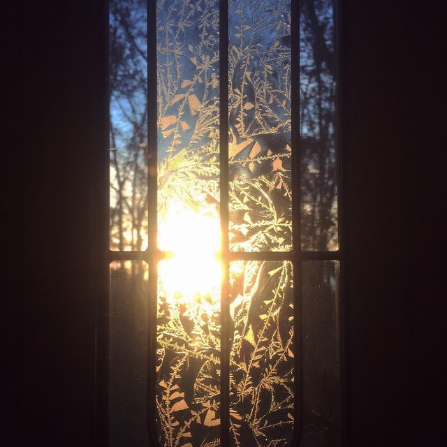 Window sunlight