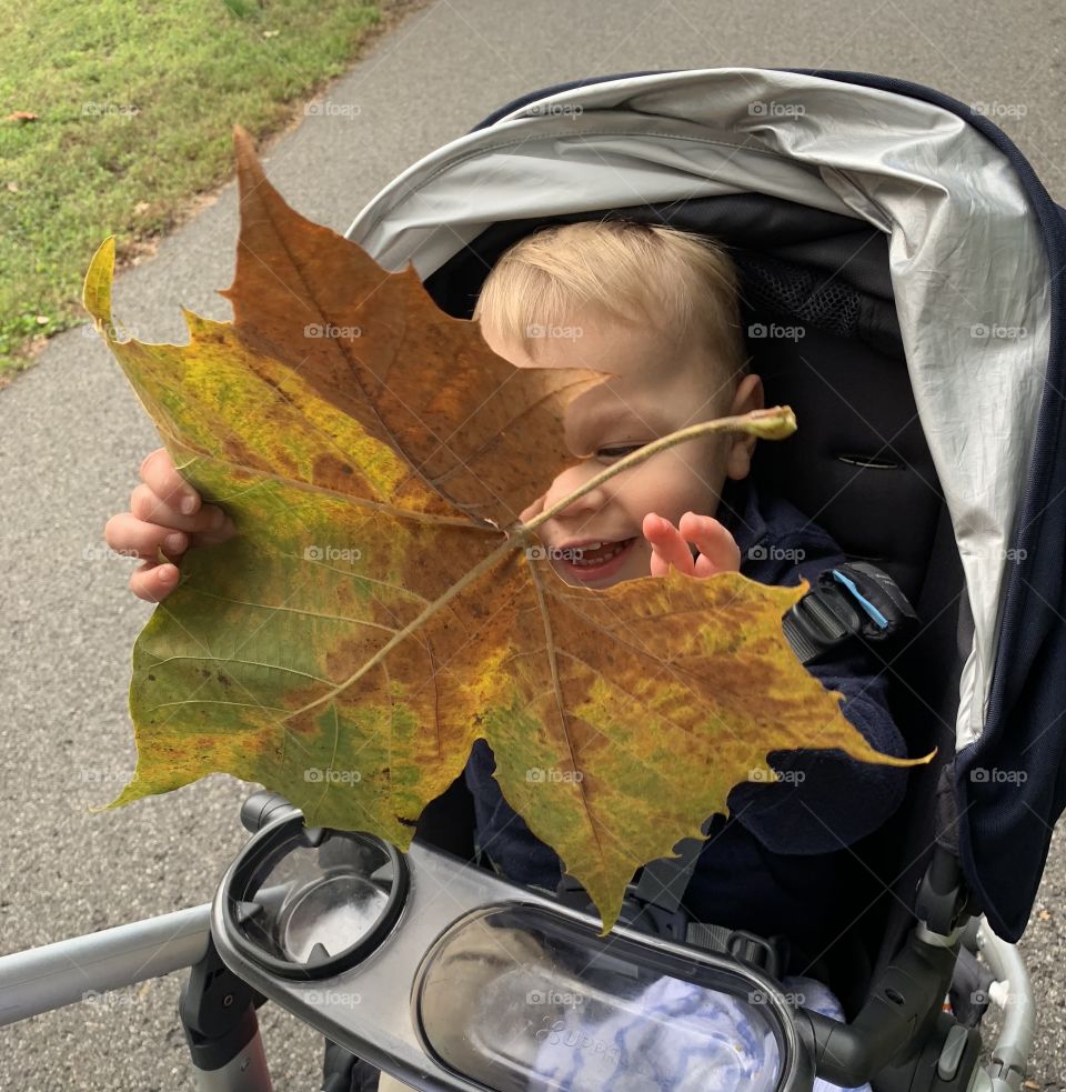 Fall happiness young boy with leaf
