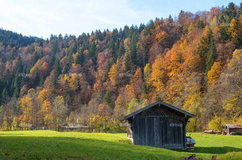 Fall foliage in Bavaria 
