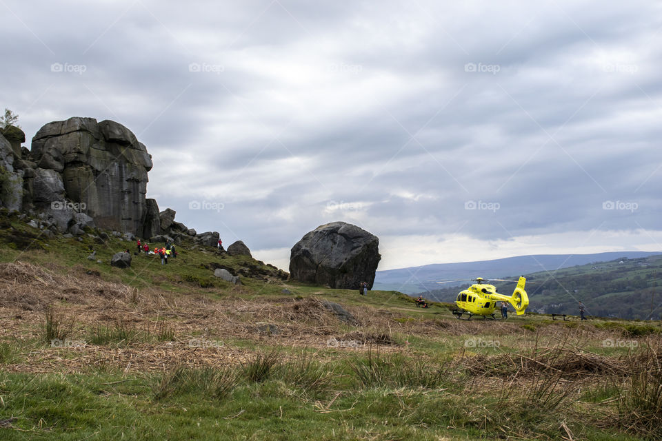 Air ambulance at Yorkshire beauty spot, cow and calf in Ilkley 