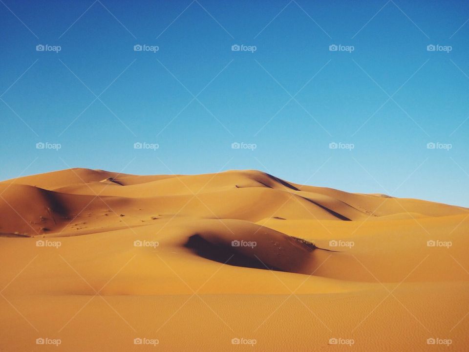 Maroccan Sahara