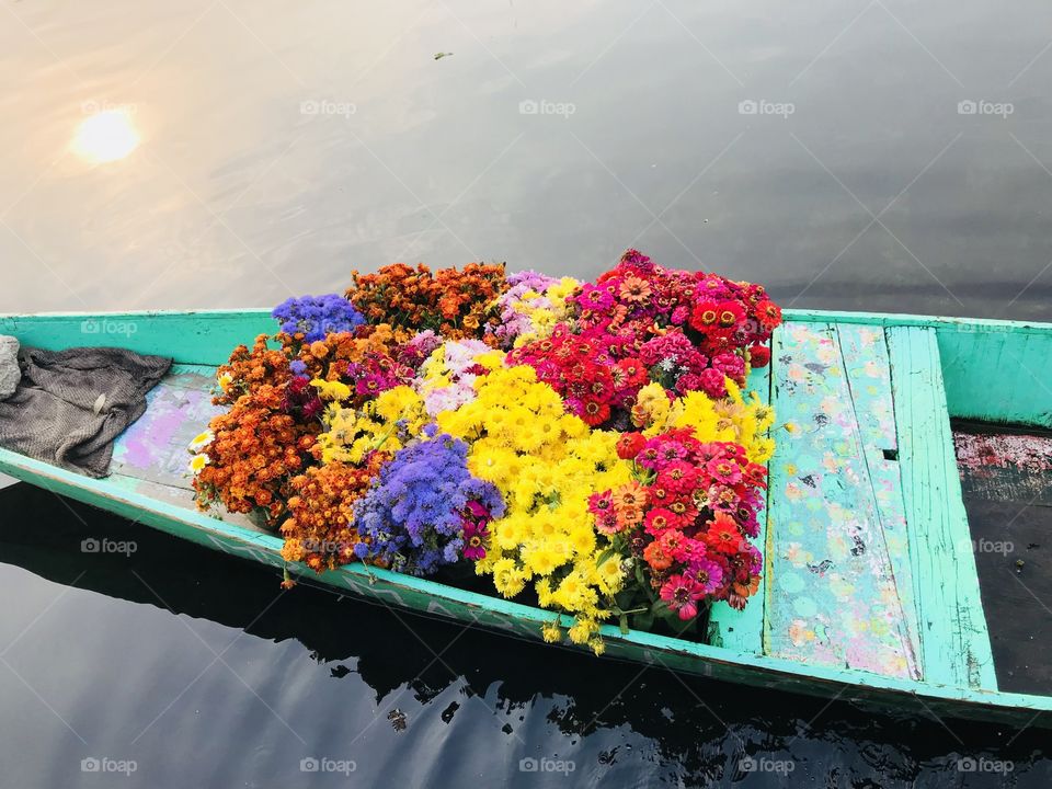 Colours In Autumn in Dal Lake, Kashmir !
