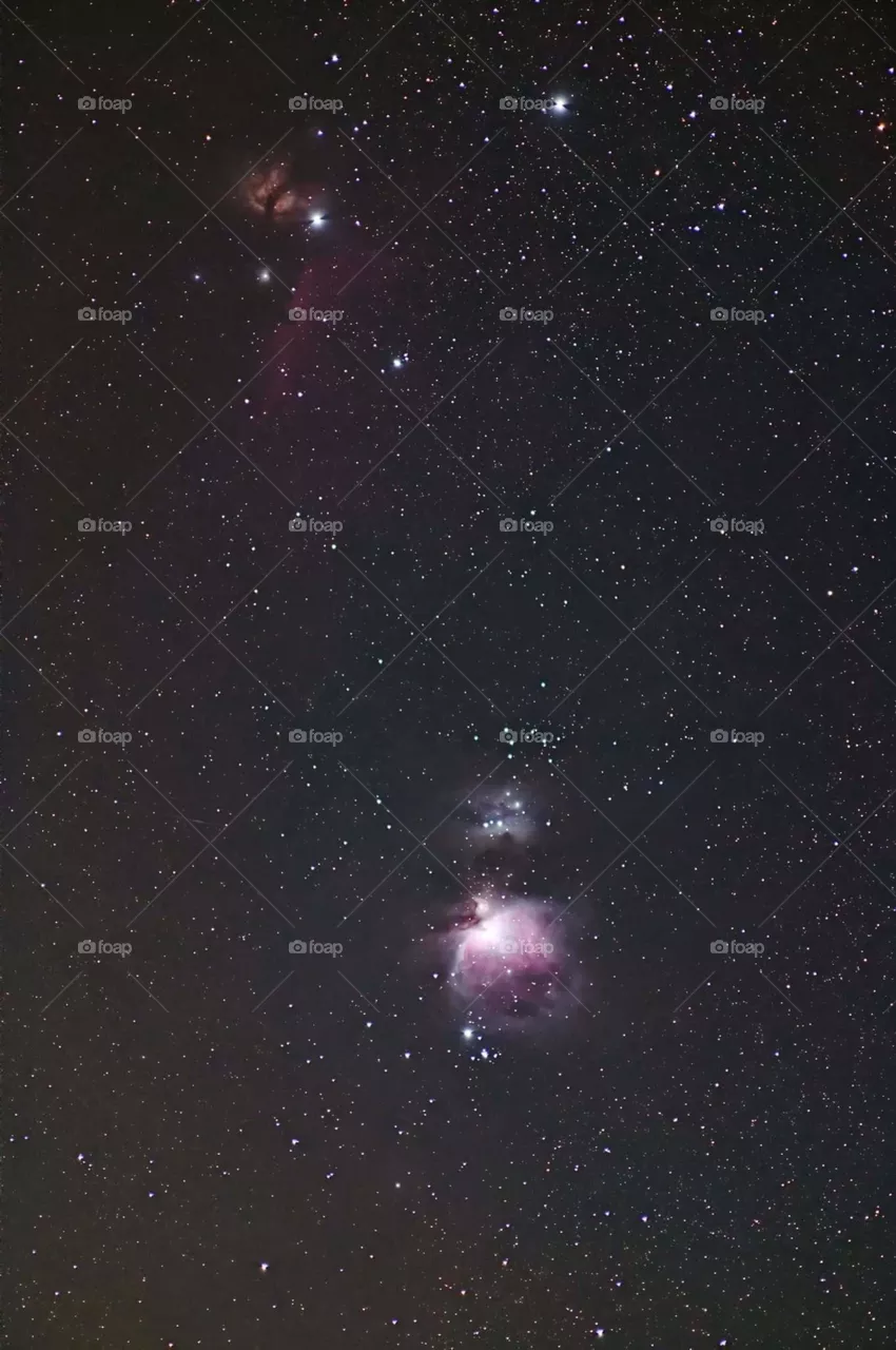 starry