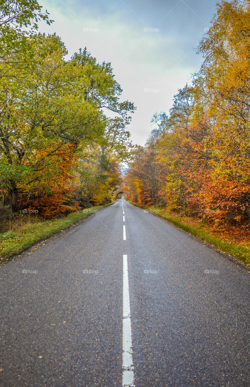A gorgeous, autumnal Scottish road