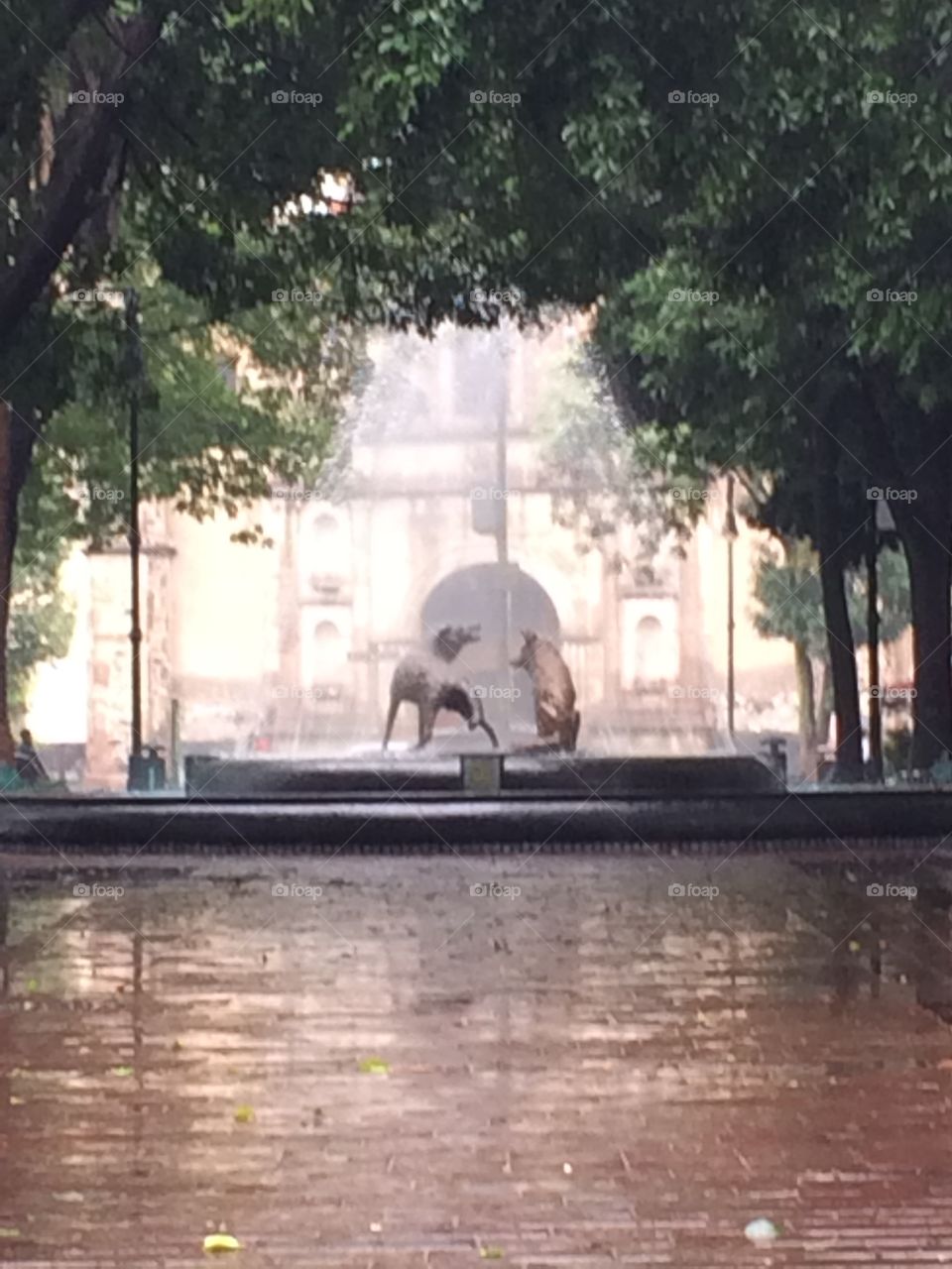 People, Tree, Water, City, Rain