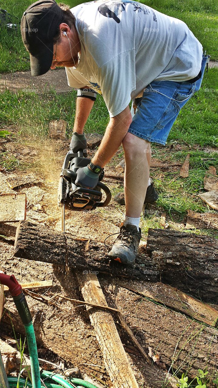 Chainsaw. Cutting Wood