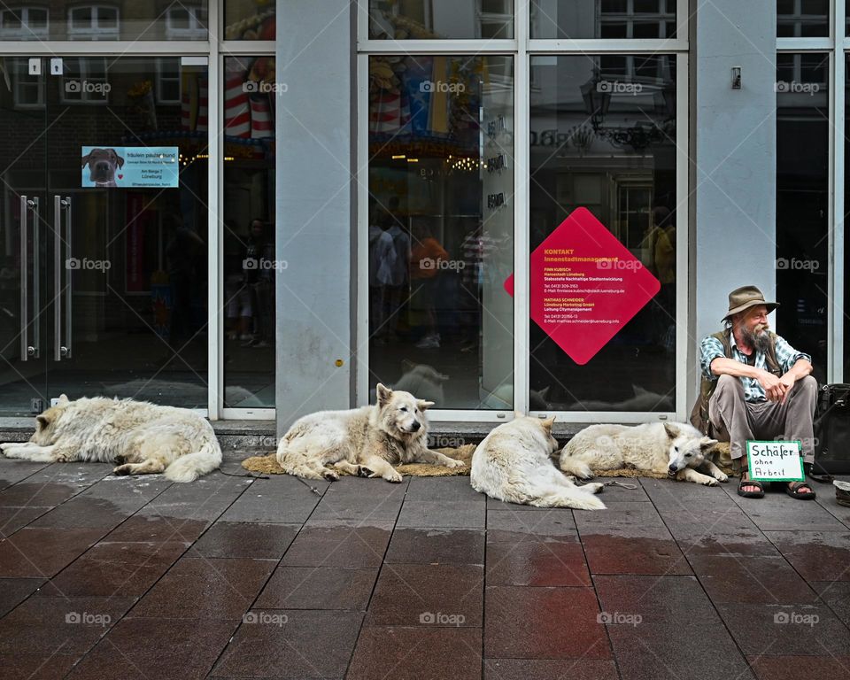 hombre solitario con sus perros