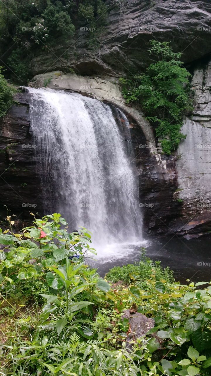 Looking Glass Falls, Pisgah National Forest NC