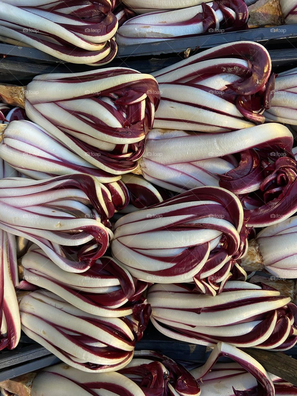 Radicchio salad