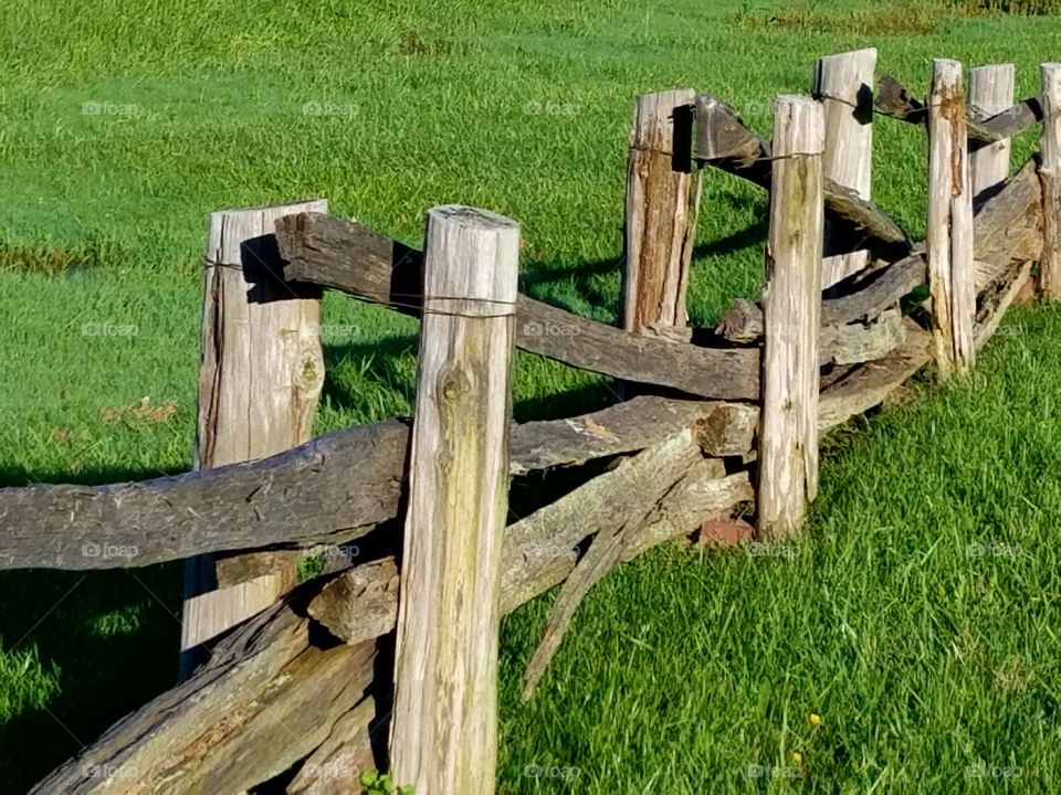 Wooden fence on land