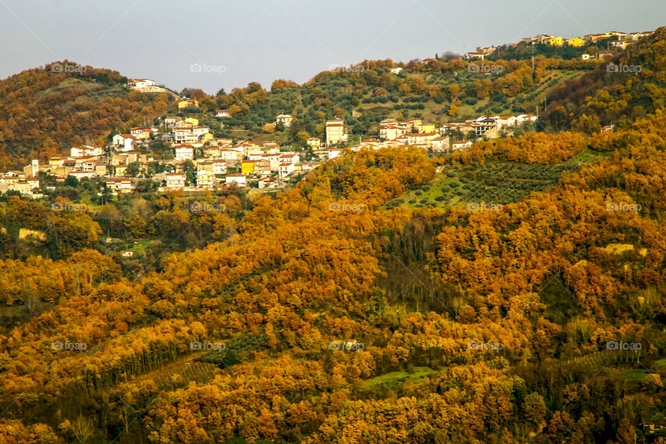 Autumn hills 