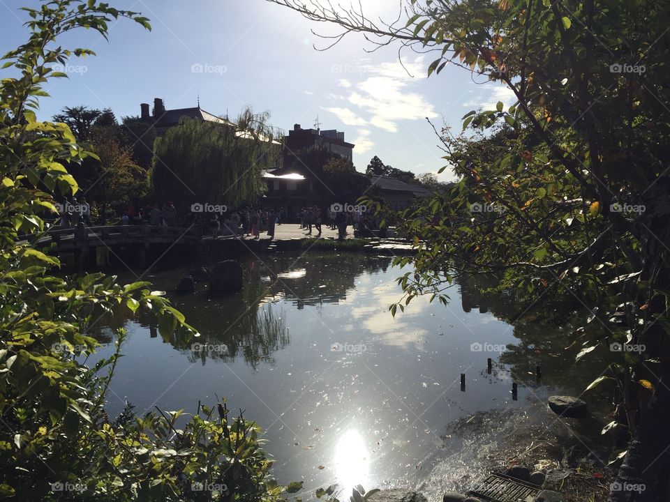 Reflection pond in maruyama park, Kyoto