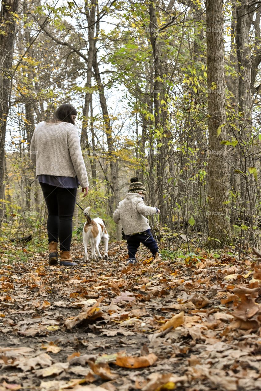 Cute toddler boy hiking through fallen leaves in hilly forest with his dog and mother 