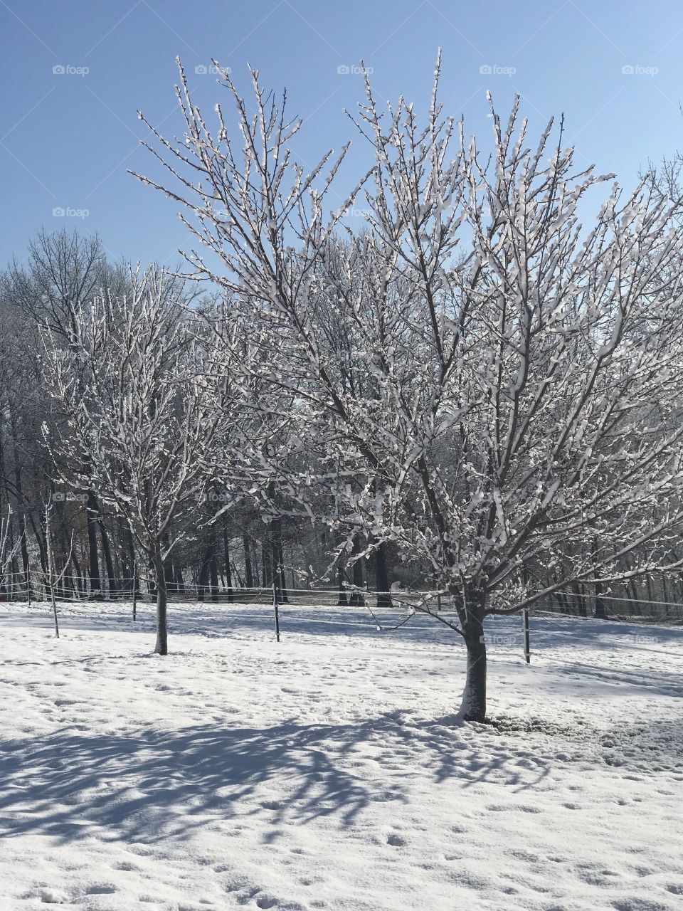 Late season snow in Kentucky 