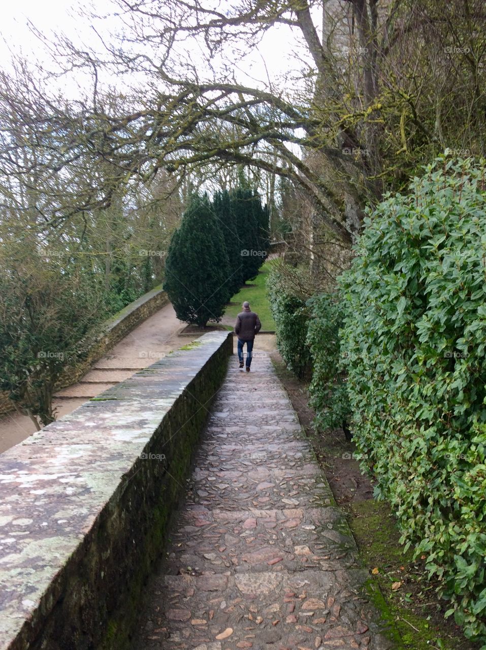 A long way down in front. Man walking down the steps amongst the trees. Cold wet day in France. 