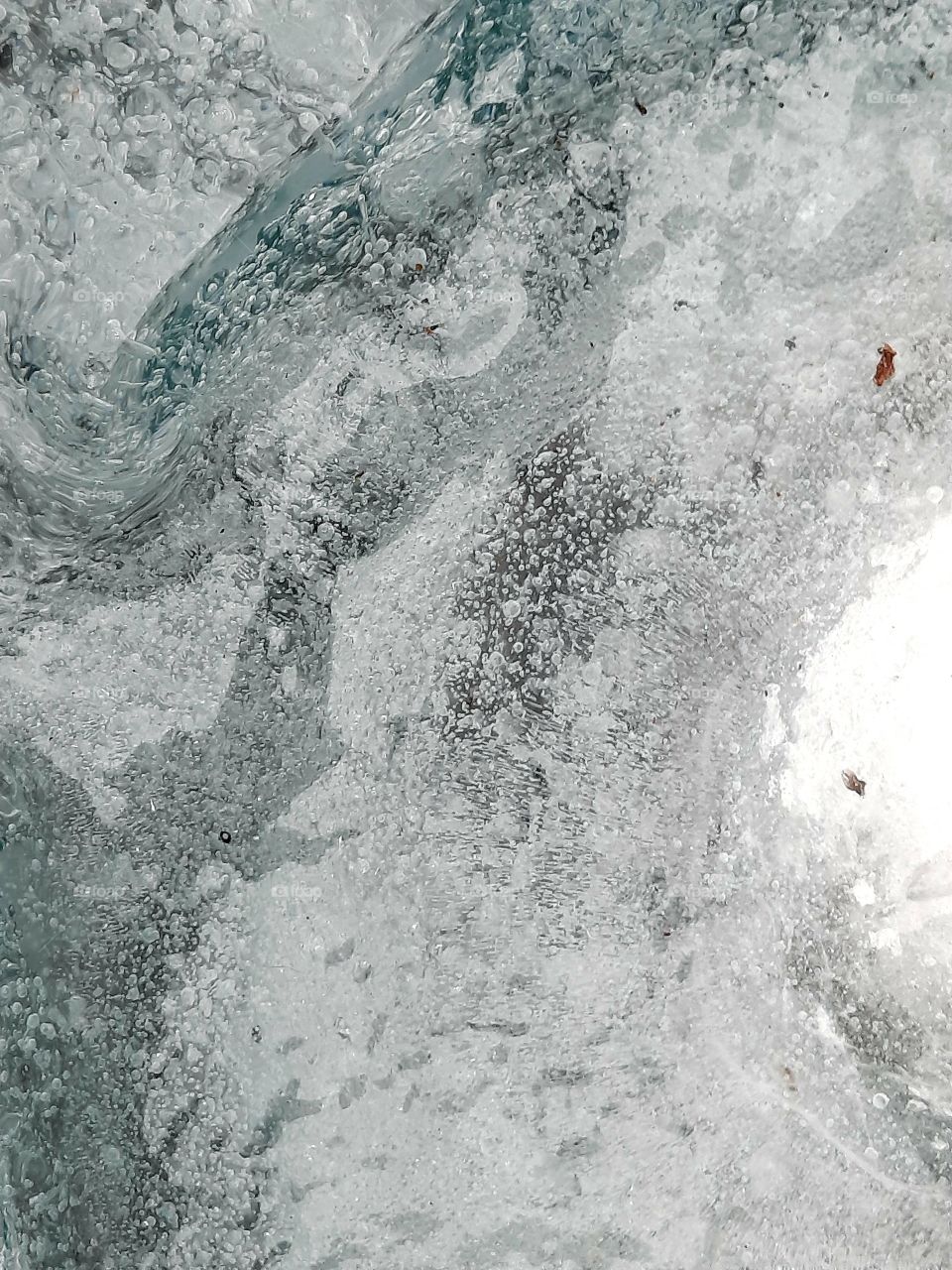 winter garden   - studium of ice  topped with snow in a rainwater container