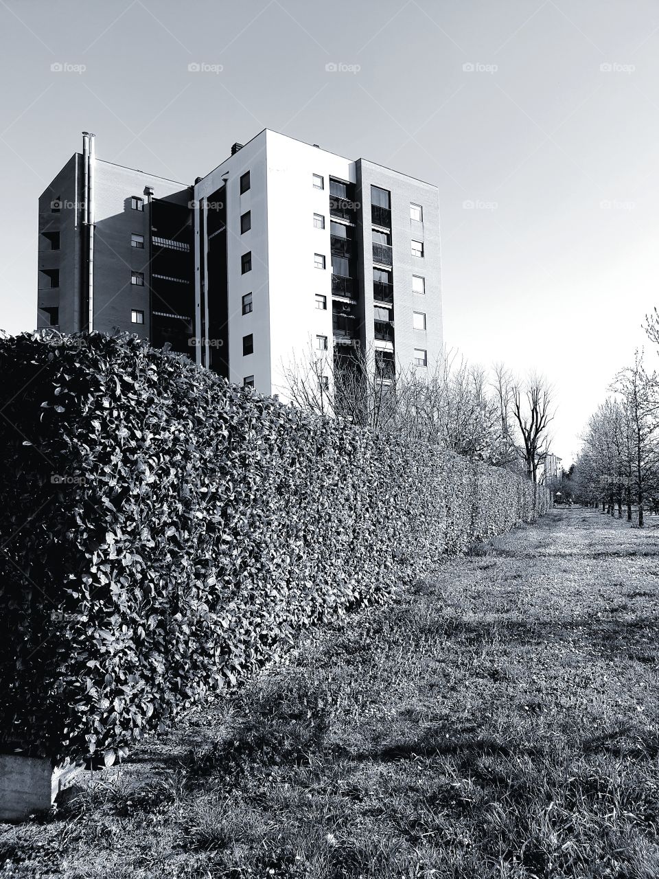 Modern building in one of the districts of Milan