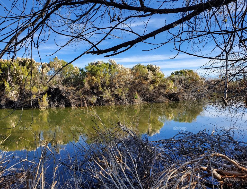 A View Across the Lake