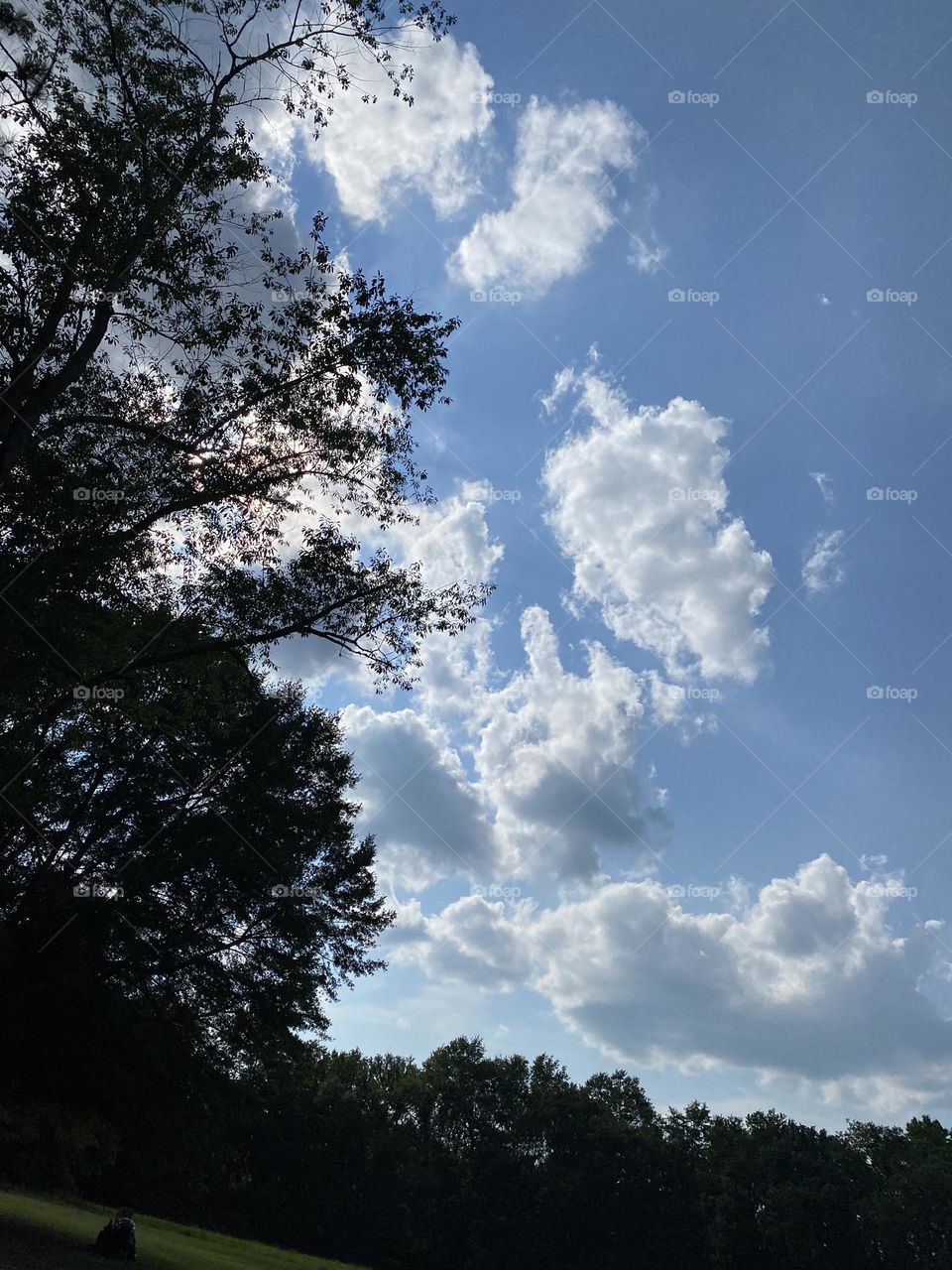 Just looking up at this beautiful sky 