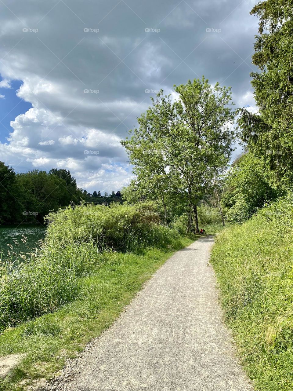 footpath grass and clouds