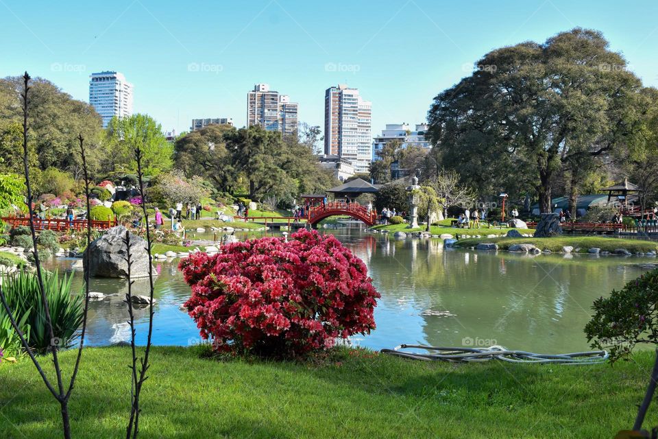 Garden japon Buenos Aires Argentina