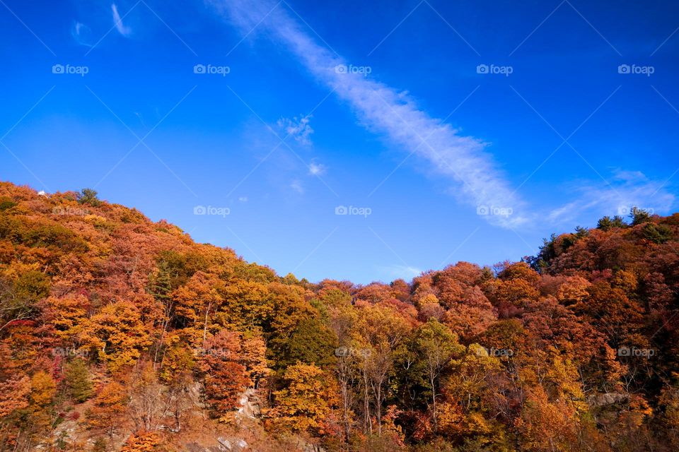 North Carolina Mountains